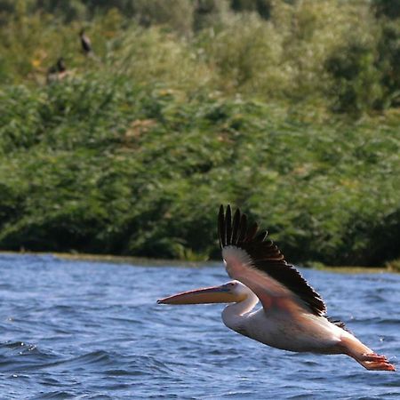 Hotel Delta Pontoon Mahmudia Zewnętrze zdjęcie