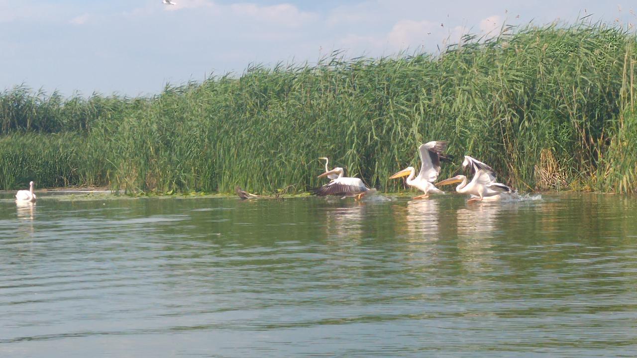 Hotel Delta Pontoon Mahmudia Zewnętrze zdjęcie